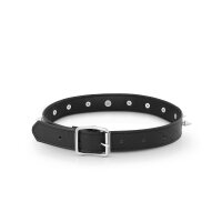 Leder BDSM Halsband mit O-Ring, schwarz, mit Stachelnieten, passend für Halsumfang 390 bis 510 mm