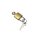 Padlock with 2 keys
