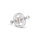Adjustable metal nipple clamp set