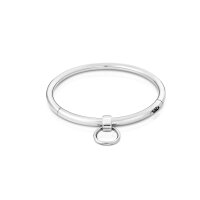 Metal choker choker with removable O-ring and jewelry pendant to change