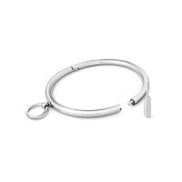Dezentes BDSM Halsband aus gebürstetem Edelstahl, mit O-Ring